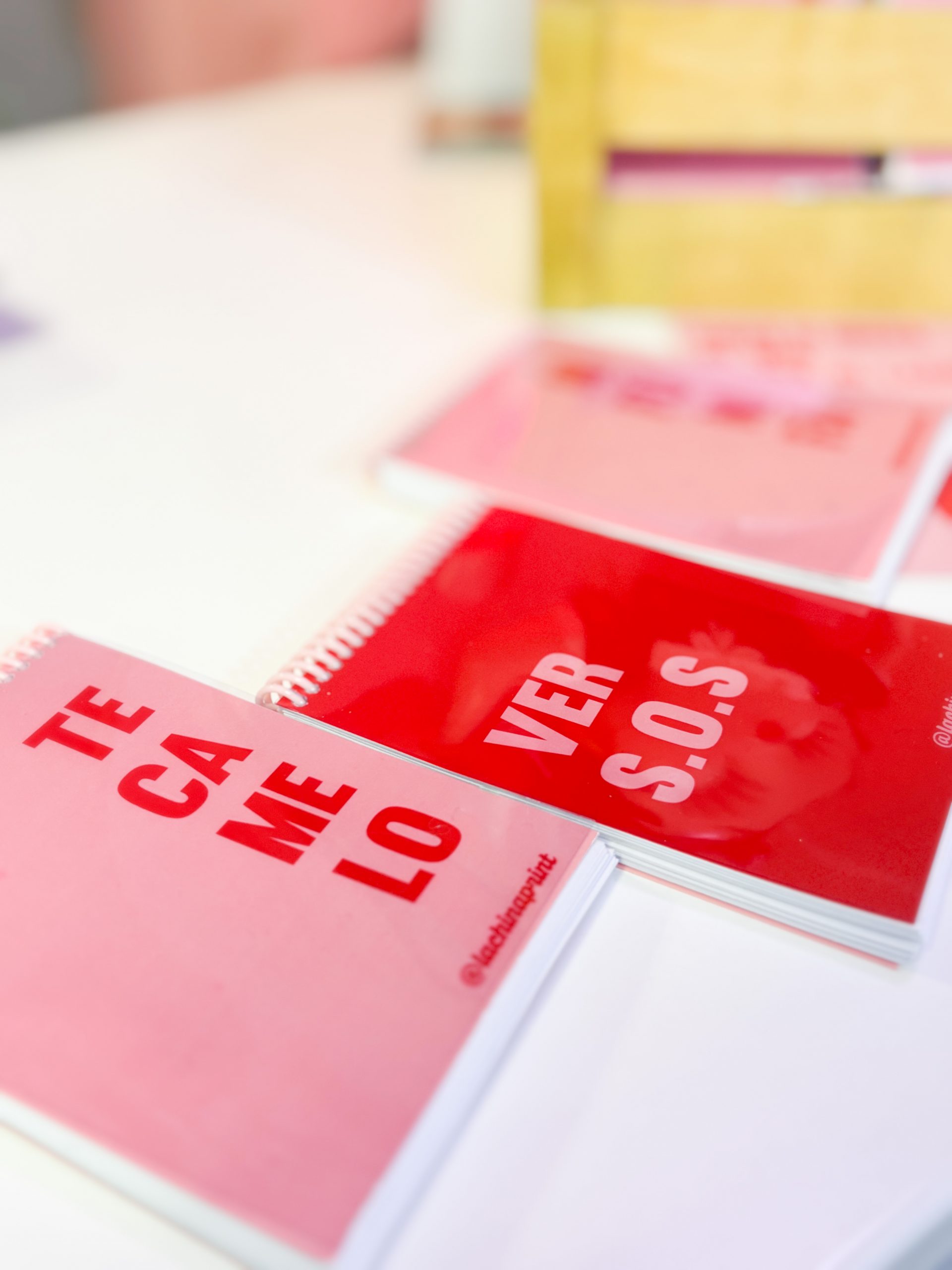 Libretas Personalizadas - Imagen 4