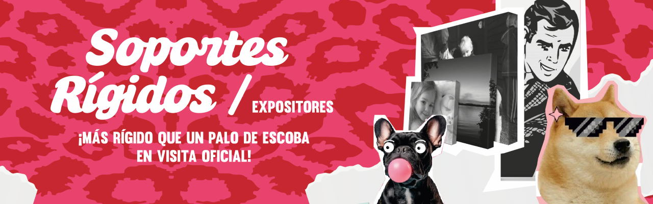 soportes rigidos